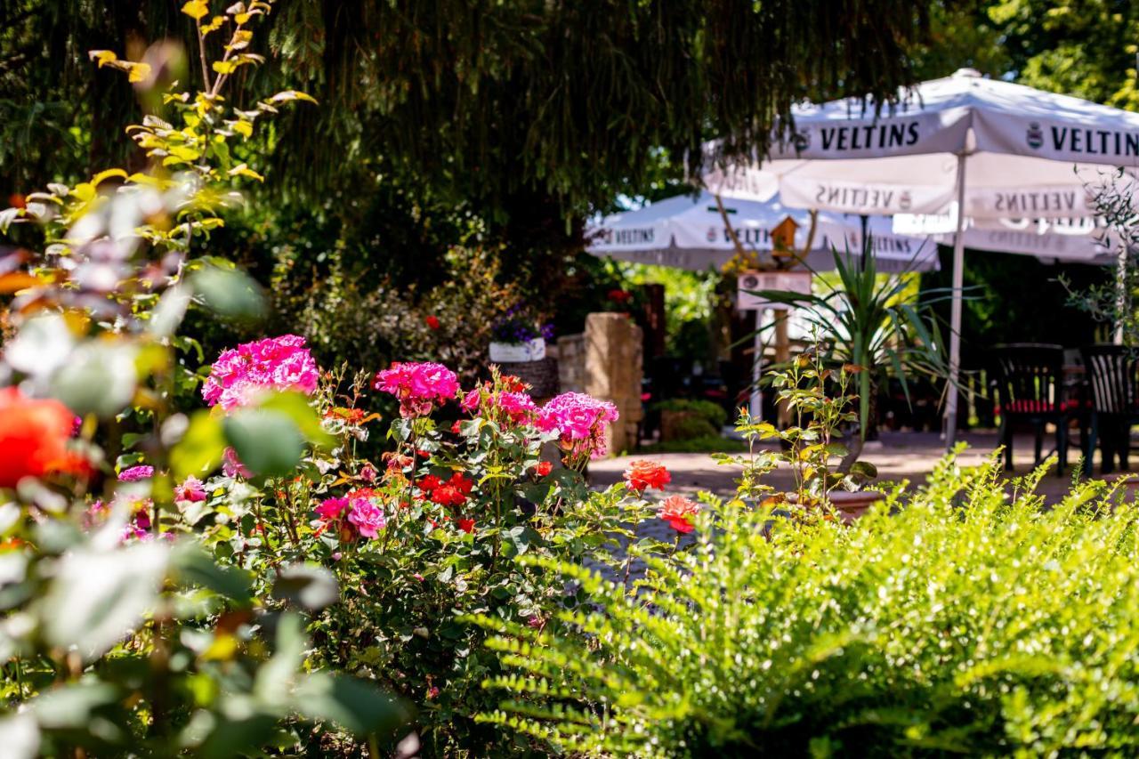 Hotel & Restaurant Lengefelder Warte Anrode Εξωτερικό φωτογραφία
